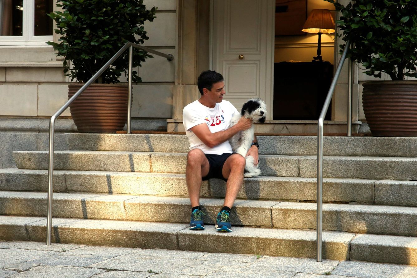 Pedro Sánchez, con una de sus perras en las escaleras de Moncloa. (EFE)