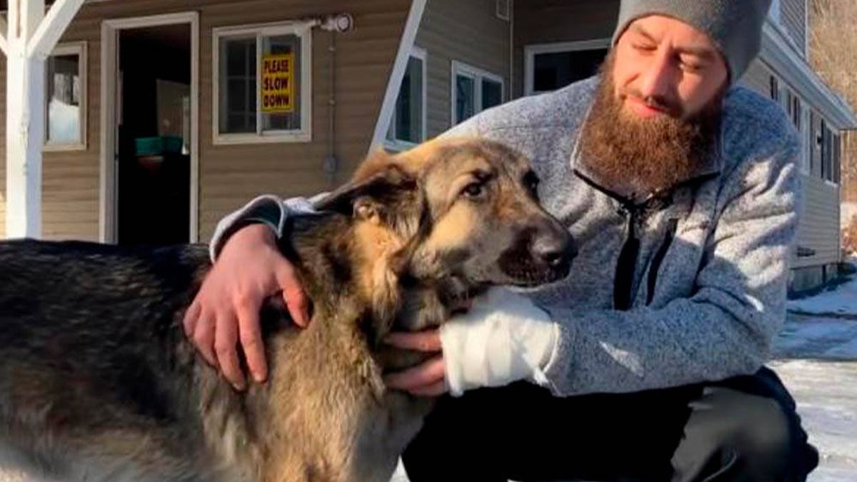 El 'milagro' de un perro para salvar la vida de su dueño tras un accidente de coche