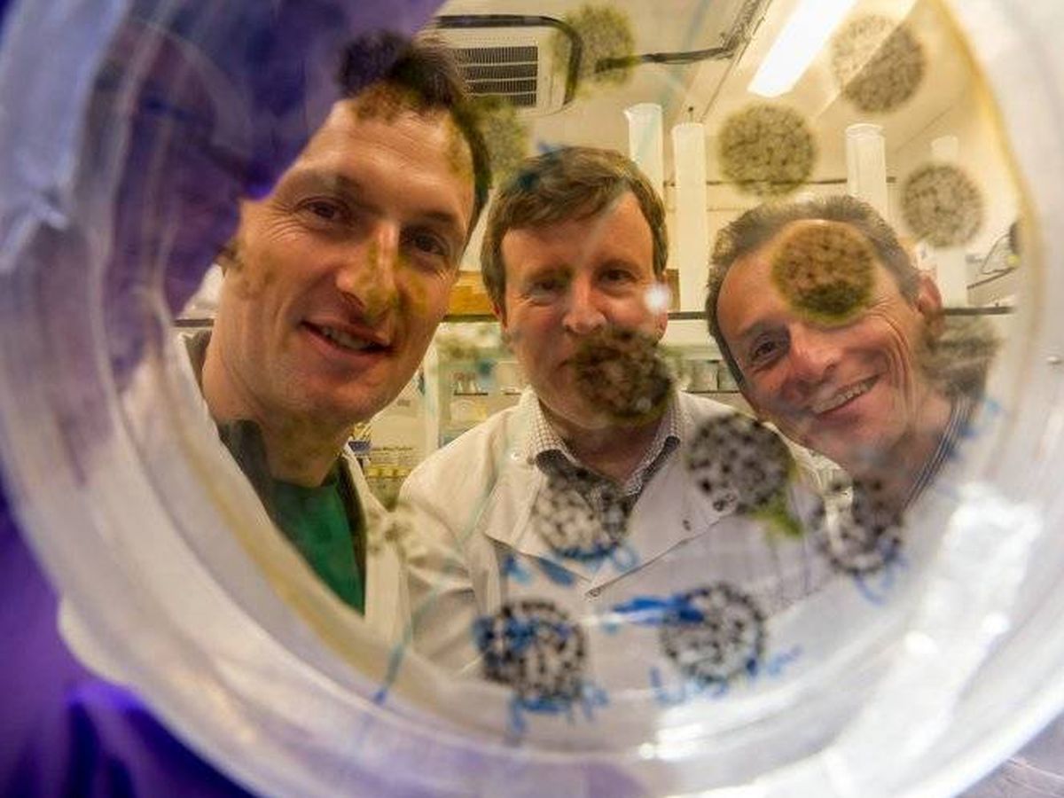 Foto: El astronauta (y ministro) Pedro Duque, junto con Matthias Maurer y Charles Cockell detrás de un cultivo bacteriano. (Foto: ESA)