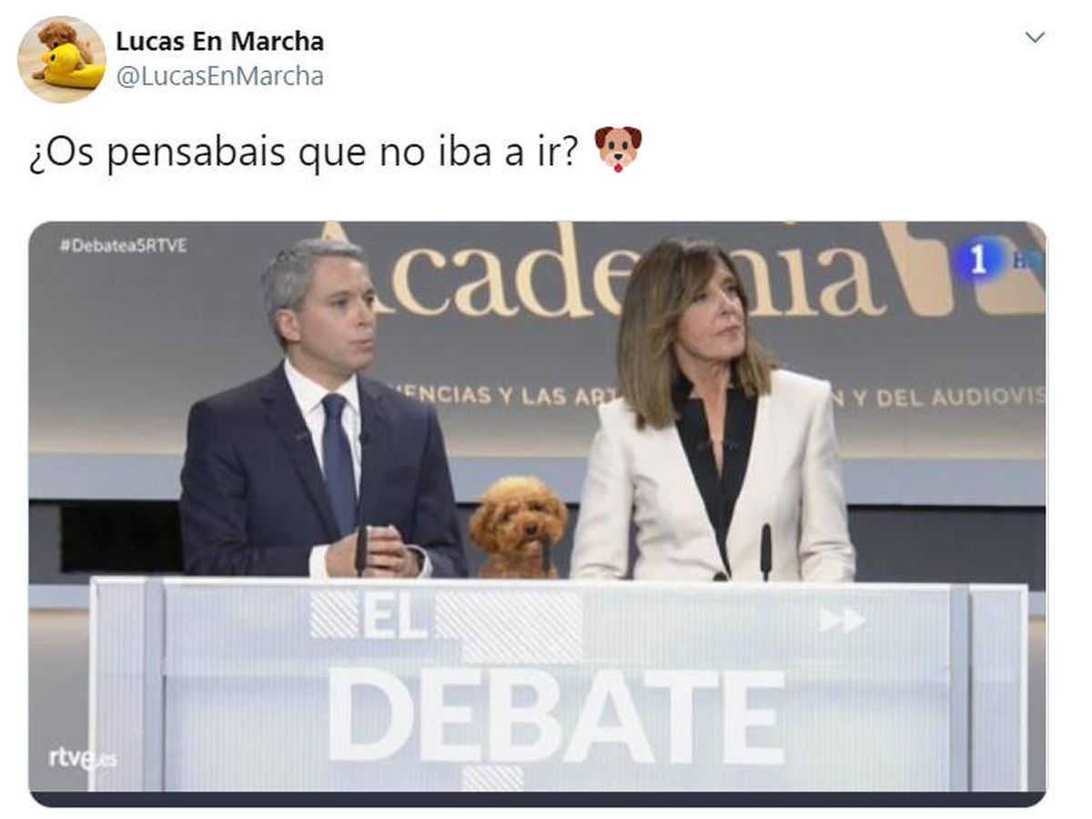 Foto: El montaje original del perro entre los presentadores del debate pertenece a otra cuenta de Twitter (Foto: Twitter)