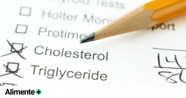 ¿qué Son Exactamente Los Triglicéridos Y En Qué Se Diferencian Del Colesterolemk 6351