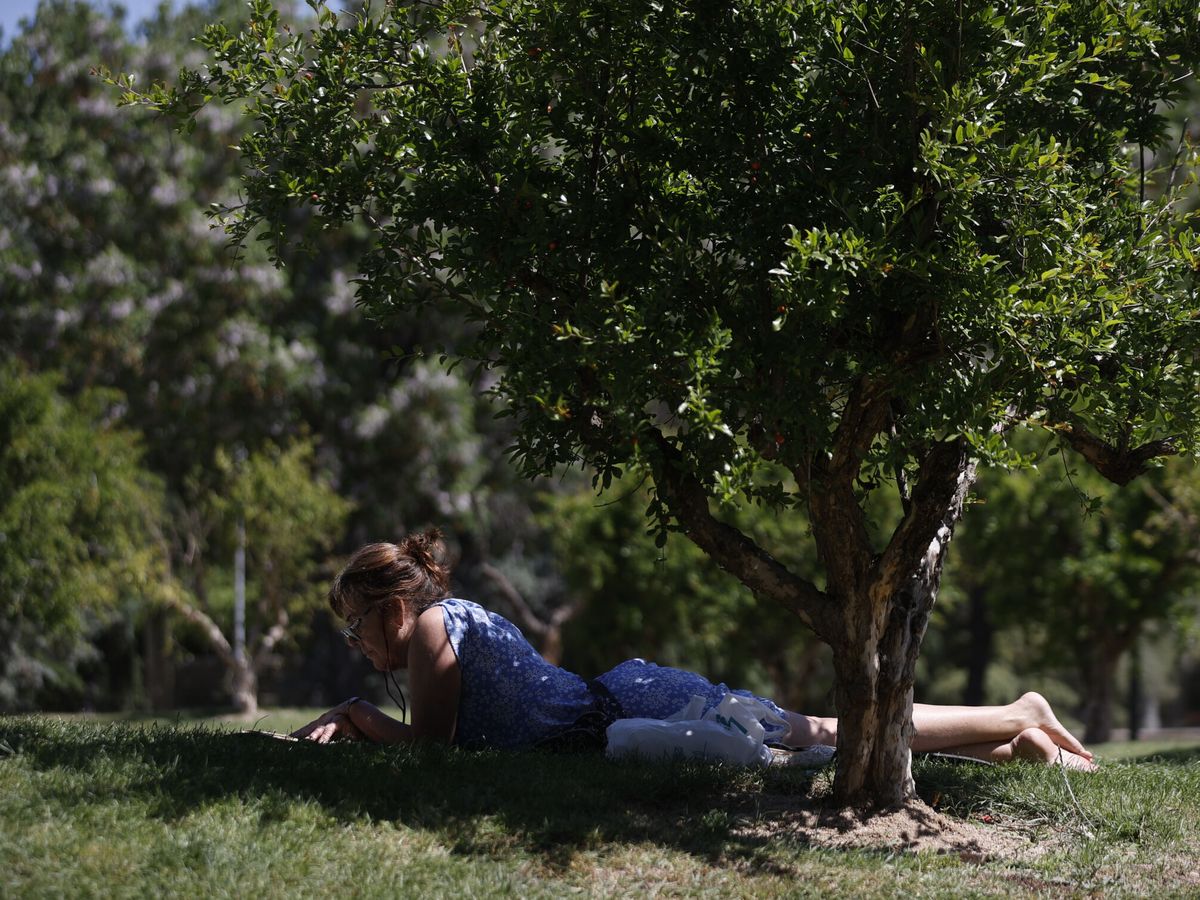 Foto: Una mujer lee este martes bajo un árbol en Madrid. (EFE/Emilio Naranjo)
