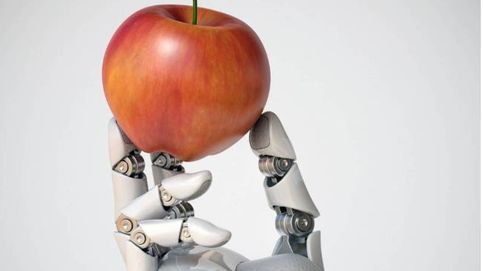 La inteligencia artificial logrará algoritmos que nos digan qué comer