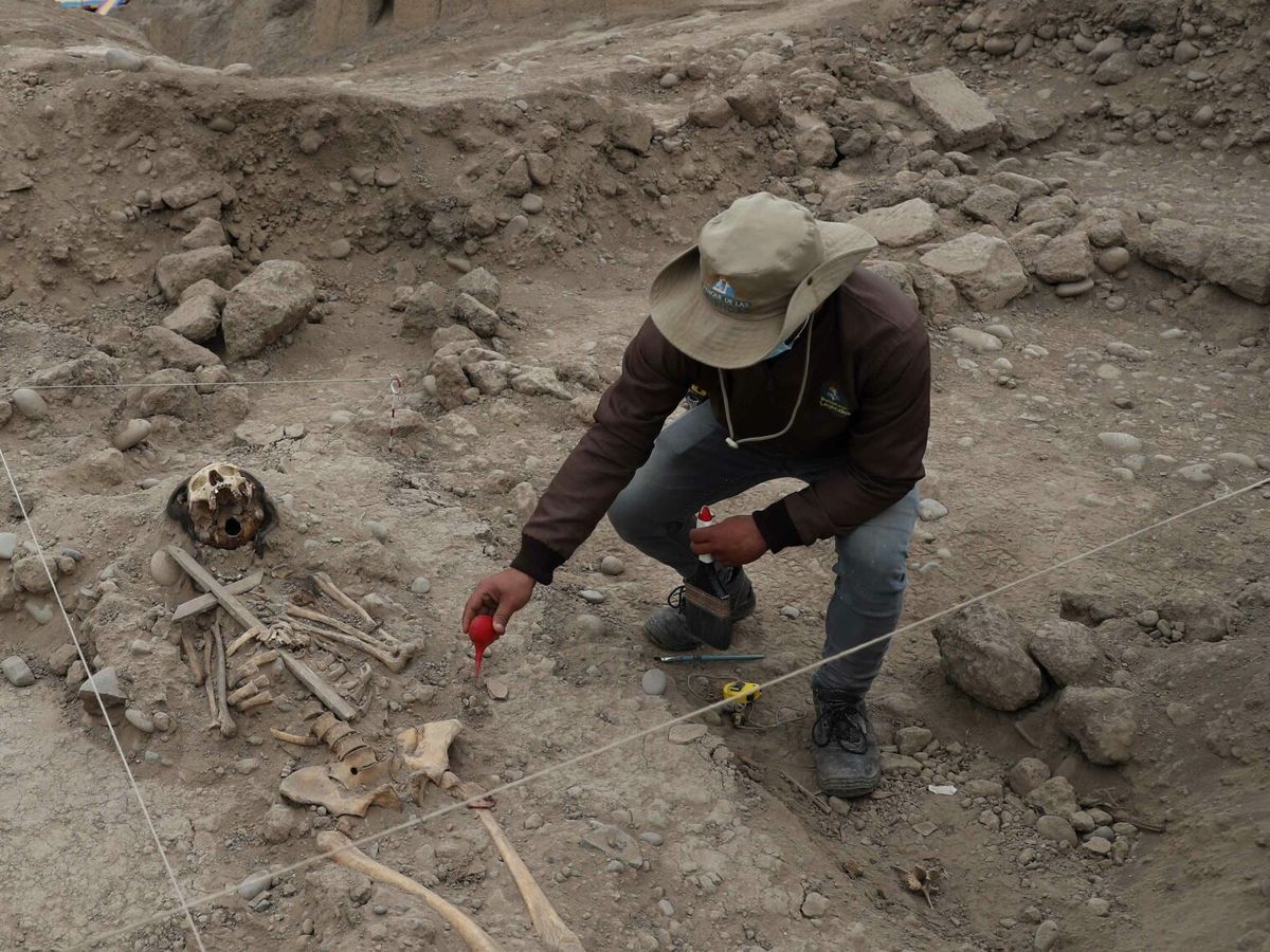 Foto: Un arqueólogo trabaja con los restos de un cadáver en una fotografía de archivo. (EFE/Paolo Aguilar)