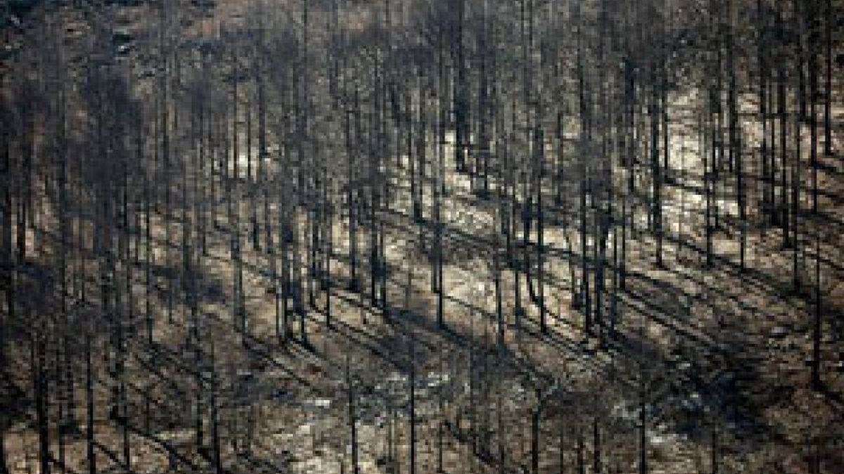 El fuego ha arrasado ya más 12.000 hectáreas en Aragón, sobre todo en Teruel