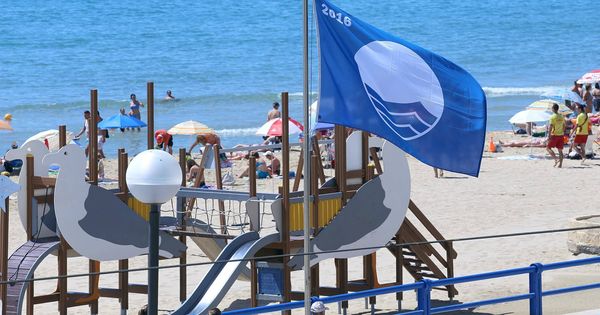 Foto: Una bandera azul en las playas de Alicante el año pasado. (EFE)