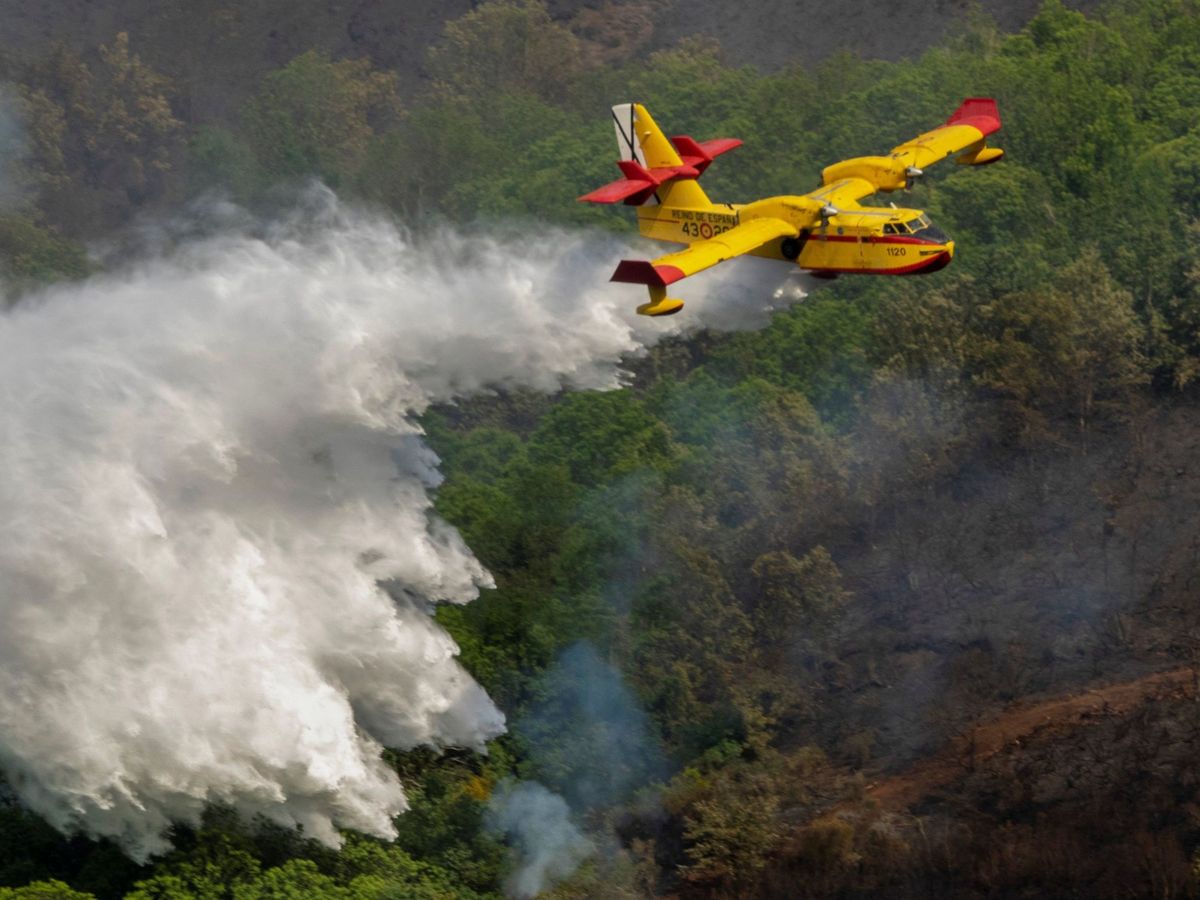 Foto: Avión sofocando un incendio. (EFE)