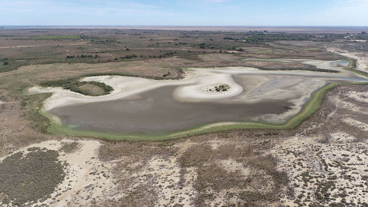 Doñana, en estado crítico: el CSIC denuncia que la mitad de sus lagunas ha desaparecido