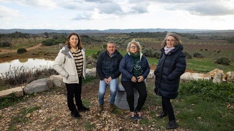 El 'Alcarràs' valenciano que explica por qué hay rechazo a las fotovoltaicas en la España rural