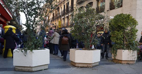 Foto: Maceteros en la calle de Preciados de Madrid las pasadas Navidades (EFE)