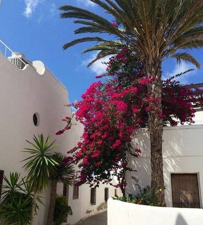 Foto: Agua Amarga es blanco y azul, con mar, palmeras, cactus y buganvillas. (Cortesía Casa La Bonita)