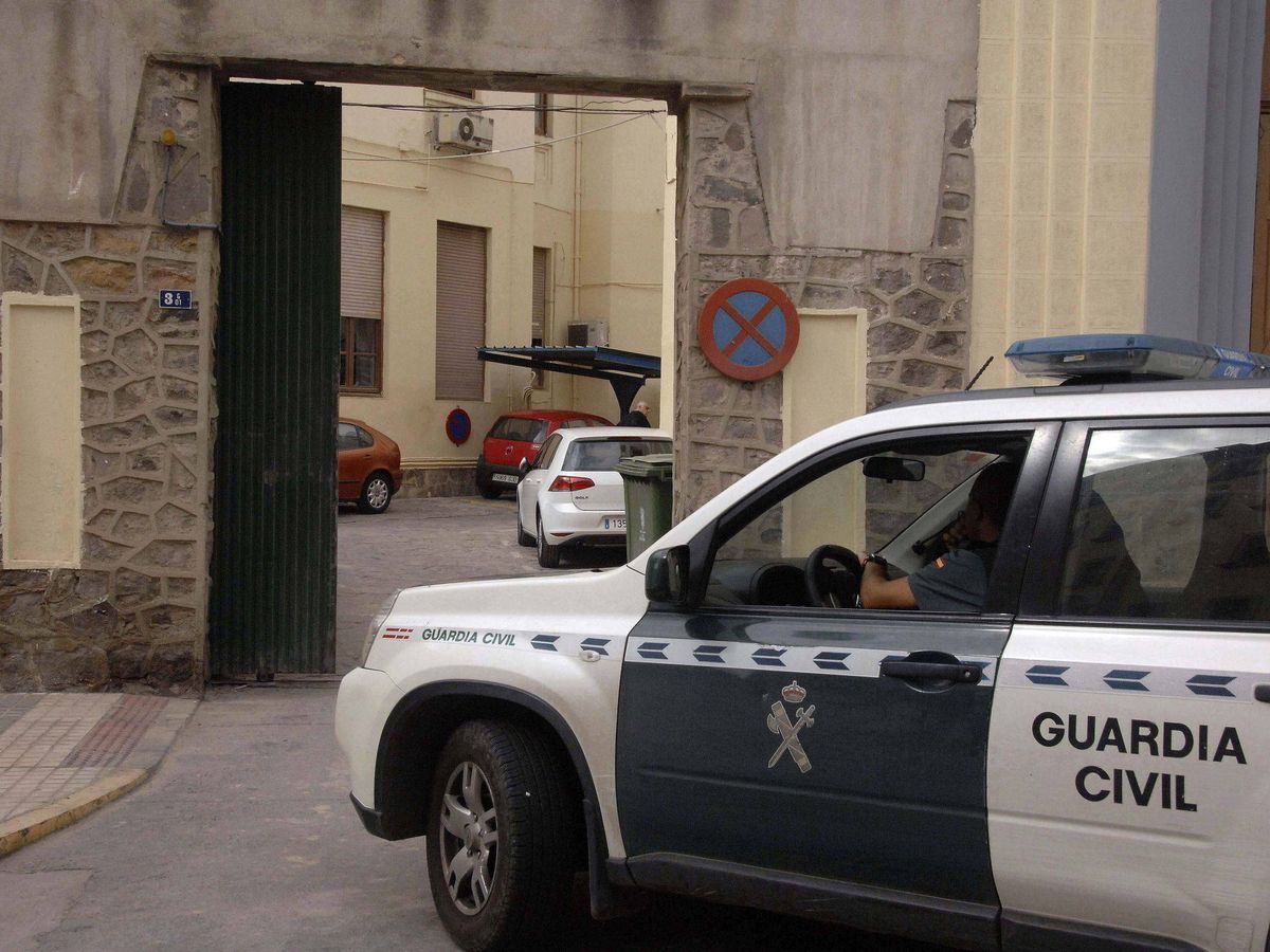 Foto: La Guardia Civil advierte: esta es la causa del 20% de los atropellos (Foto: EFE)