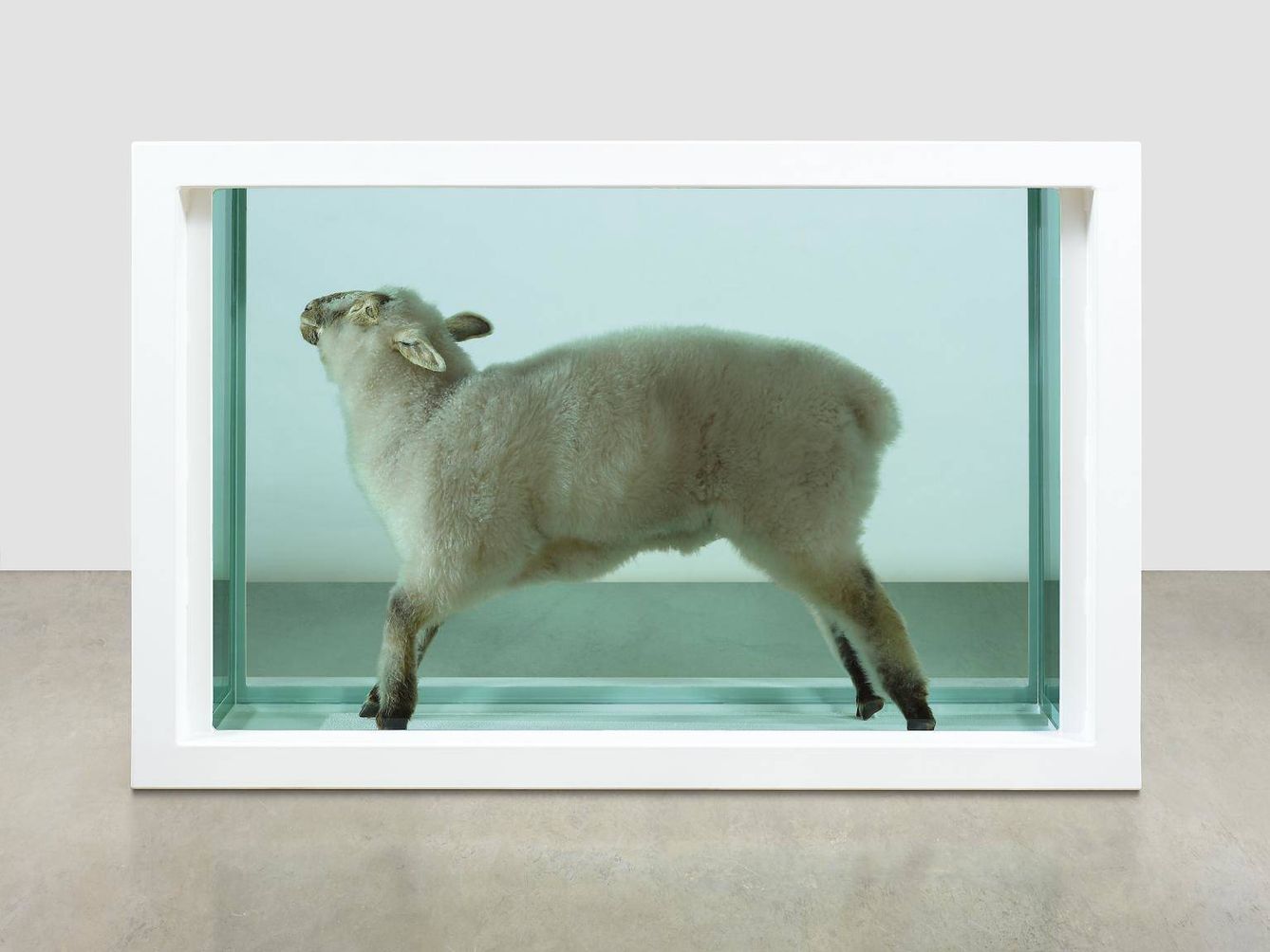 ‘Away from the Flock’, Damien Hirst,  1994. Tate Modern.