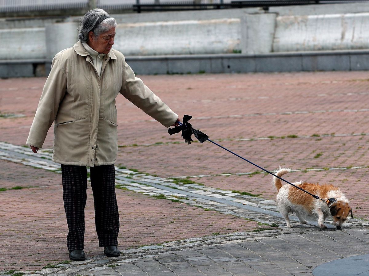 Foto: Una mujer pasea con su perro en una imagen de archivo. (EFE)