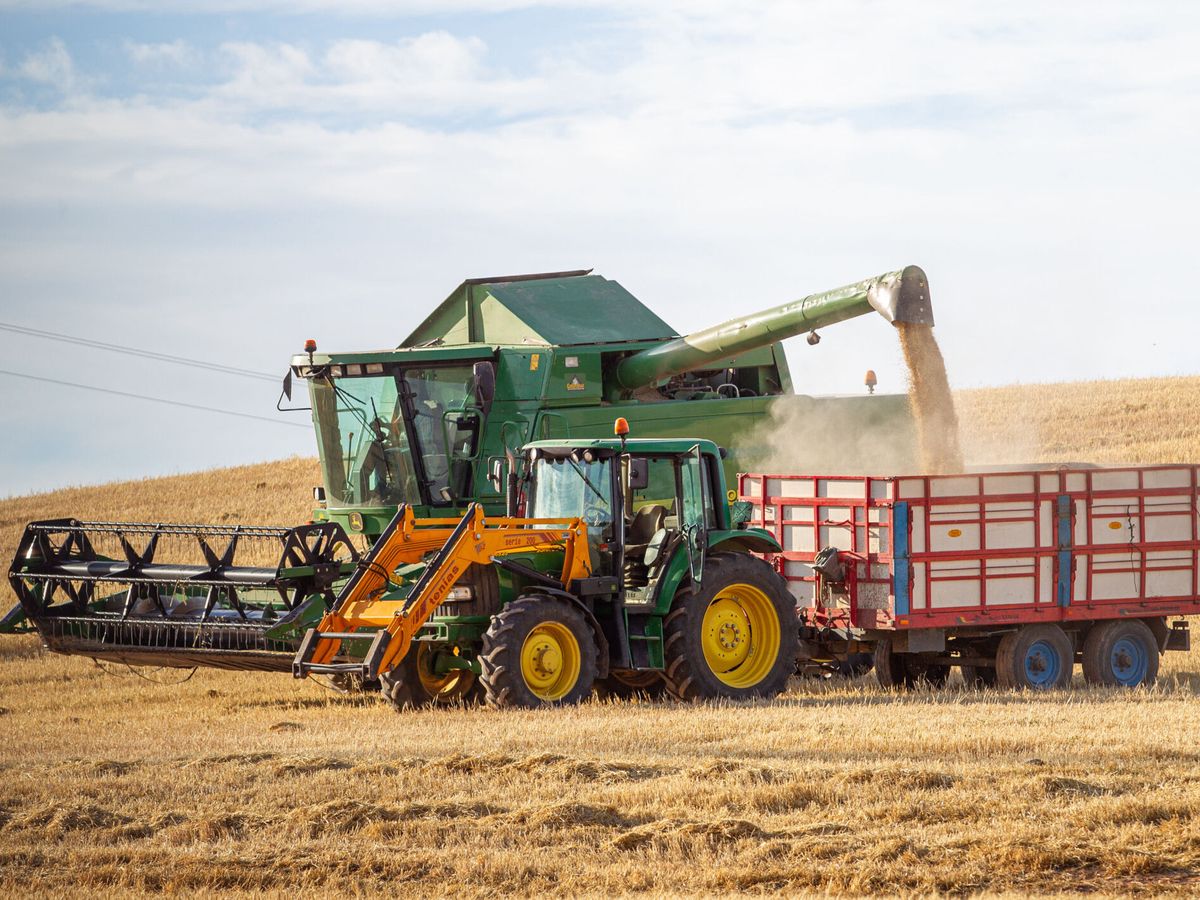 Foto: Un tractor recoge un campo de cereal. (EFE)
