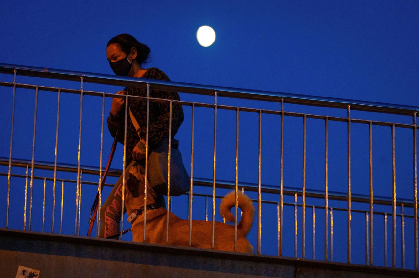 Una mujer con mascarilla pasea a su perro en Barcelona. (EFE)