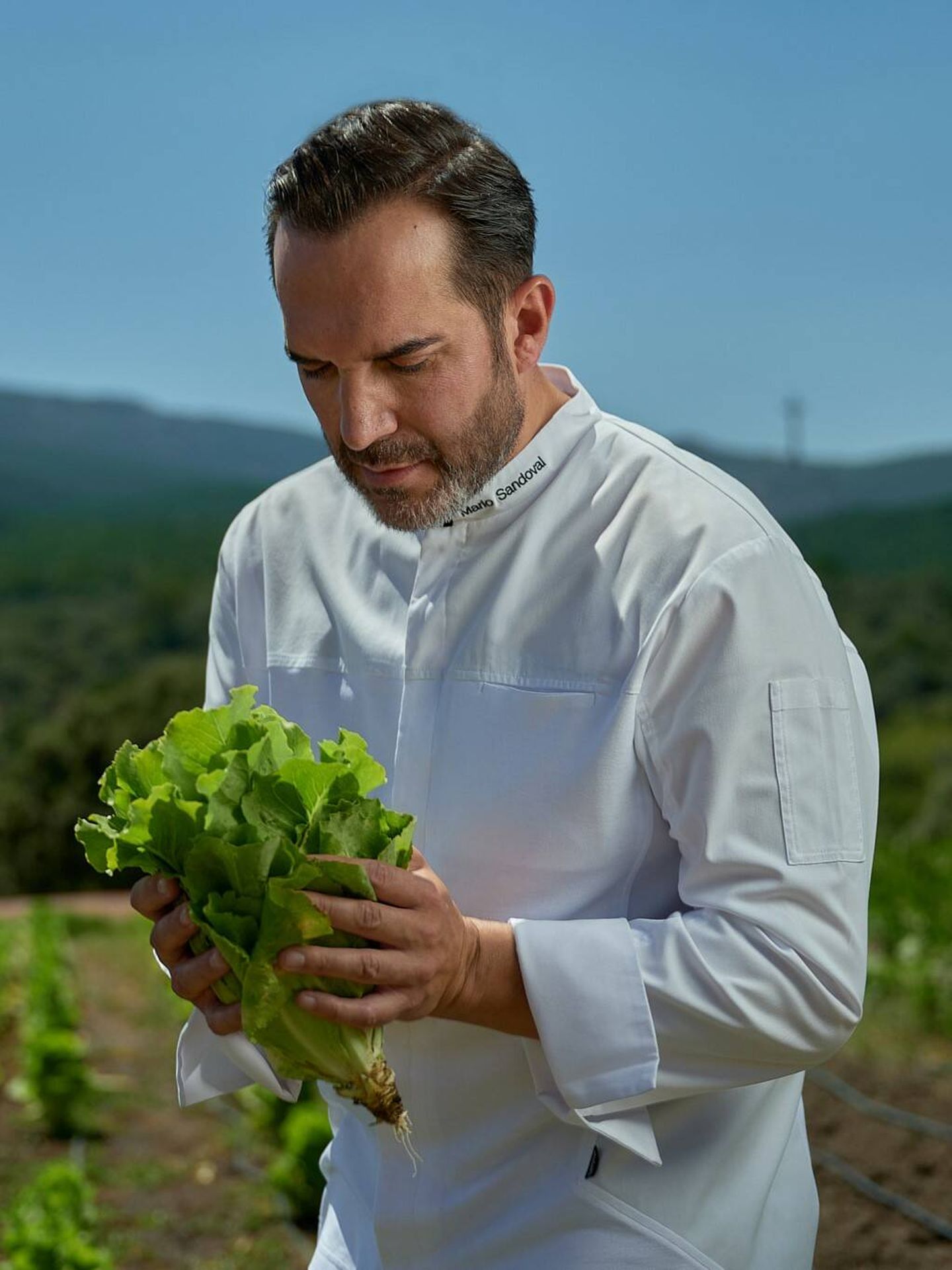 La sostenibilidad y la búsqueda de nuevos cultivos es una constante en la cocina de Mario Sandoval. (Cortesía)