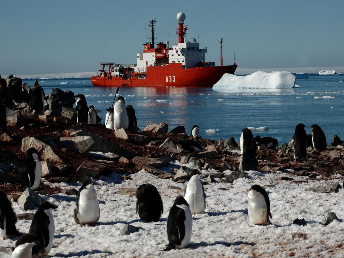 Foto: El buque oceanográfico español Hespérides navegando en la Antártida. (EFE)