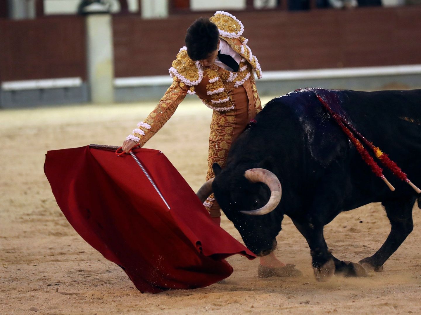 El diestro Álvaro Lorenzo con su segundo toro en el cuarto festejo de la Feria de San Isidro. (EFE)