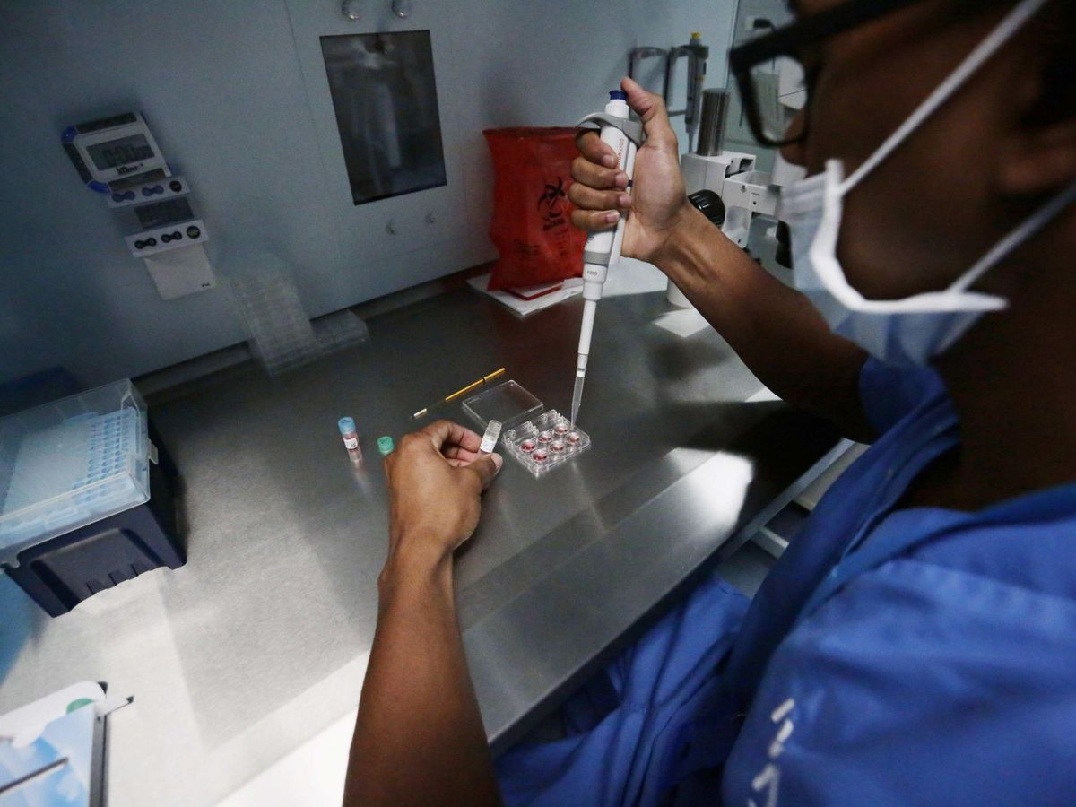 Foto: Proceso de análisis de óvulos en un hospital de Panamá. Foto: EFE Bienvenido Velasco