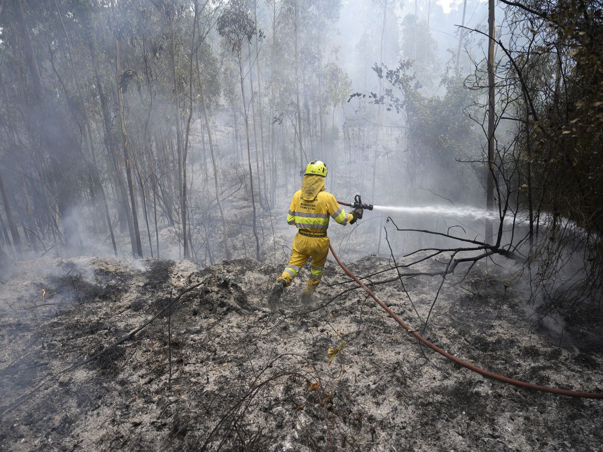 Foto: Bomberos forestales del Gobierno de Cantabria, durante los trabajos de extinción del incendio en Hazas de Cesto. (EFE/Pedro Puente Hoyos)