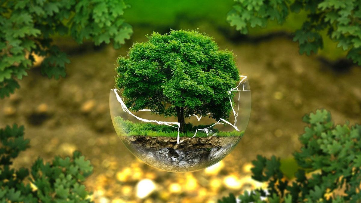 Transición verde: descarbonización y economía circular en la recuperación