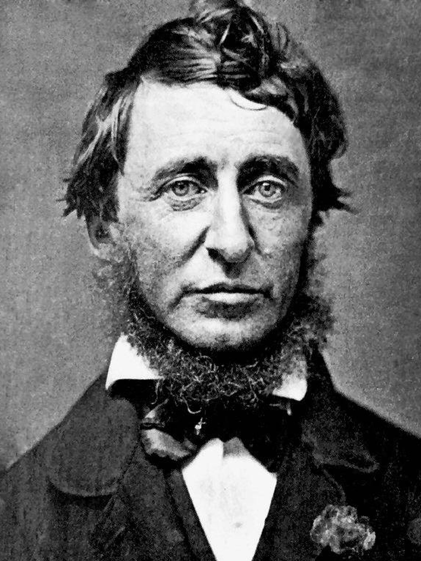 Henry David Thoreau, comedor de donuts.