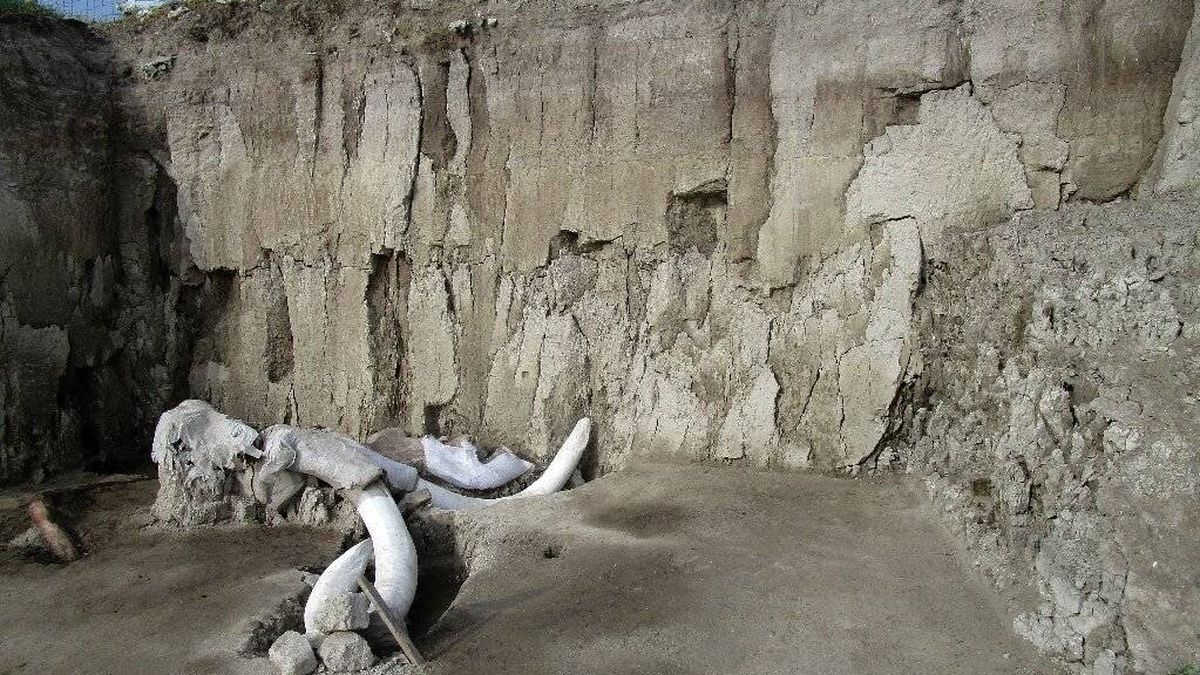 Descubierta la primera trampa para mamuts hecha por el hombre