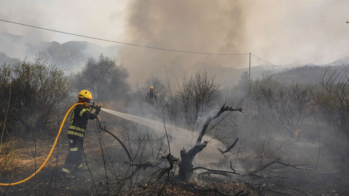 Situación "crítica" en el incendio de Añón de Moncayo y la UME su suma al de Vall d'Ebo