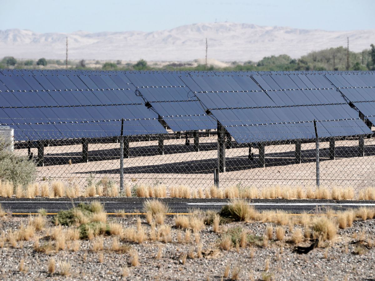 Foto: Foto de archivo de un parque fotovoltaico. (Reuters)