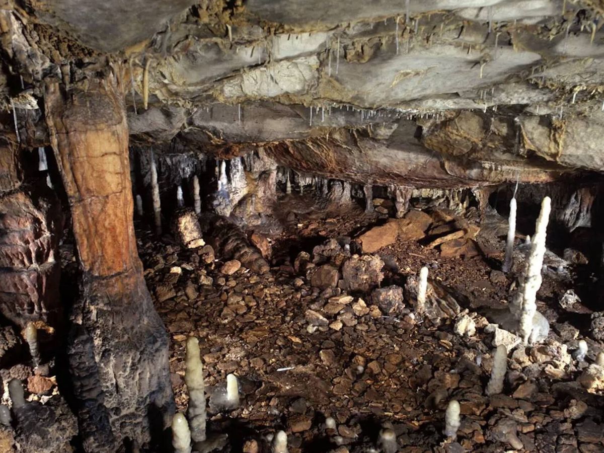 Caverna na Espanha preserva habitação do Paleolítico Superior intocada por quase 17 mil anos