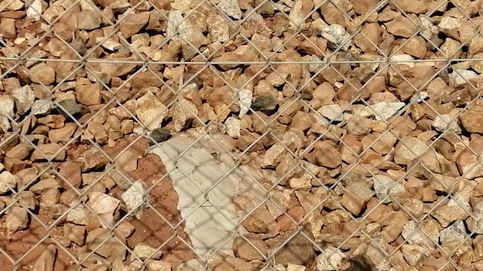 ADIF rectifica y retira el cemento con el que sepultó a miles de conejos