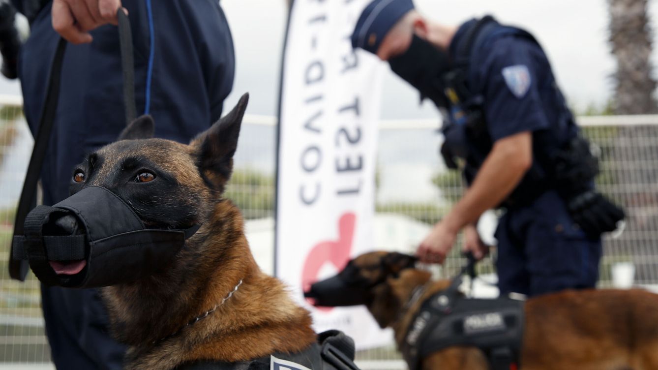 Foto: Policía francesa con patrullas caninas. (Reuters/Gonzalo Fuentes)