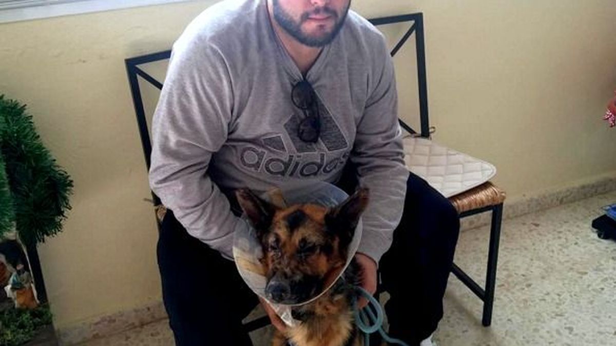 Instagram - Kiko Rivera, desolado por la muerte de su perra Flamenca