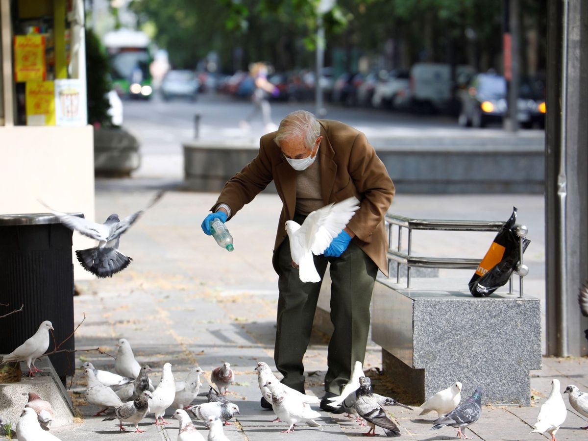 Foto: Un hombre da de comer a las palomas en el centro de Córdoba. (EFE)