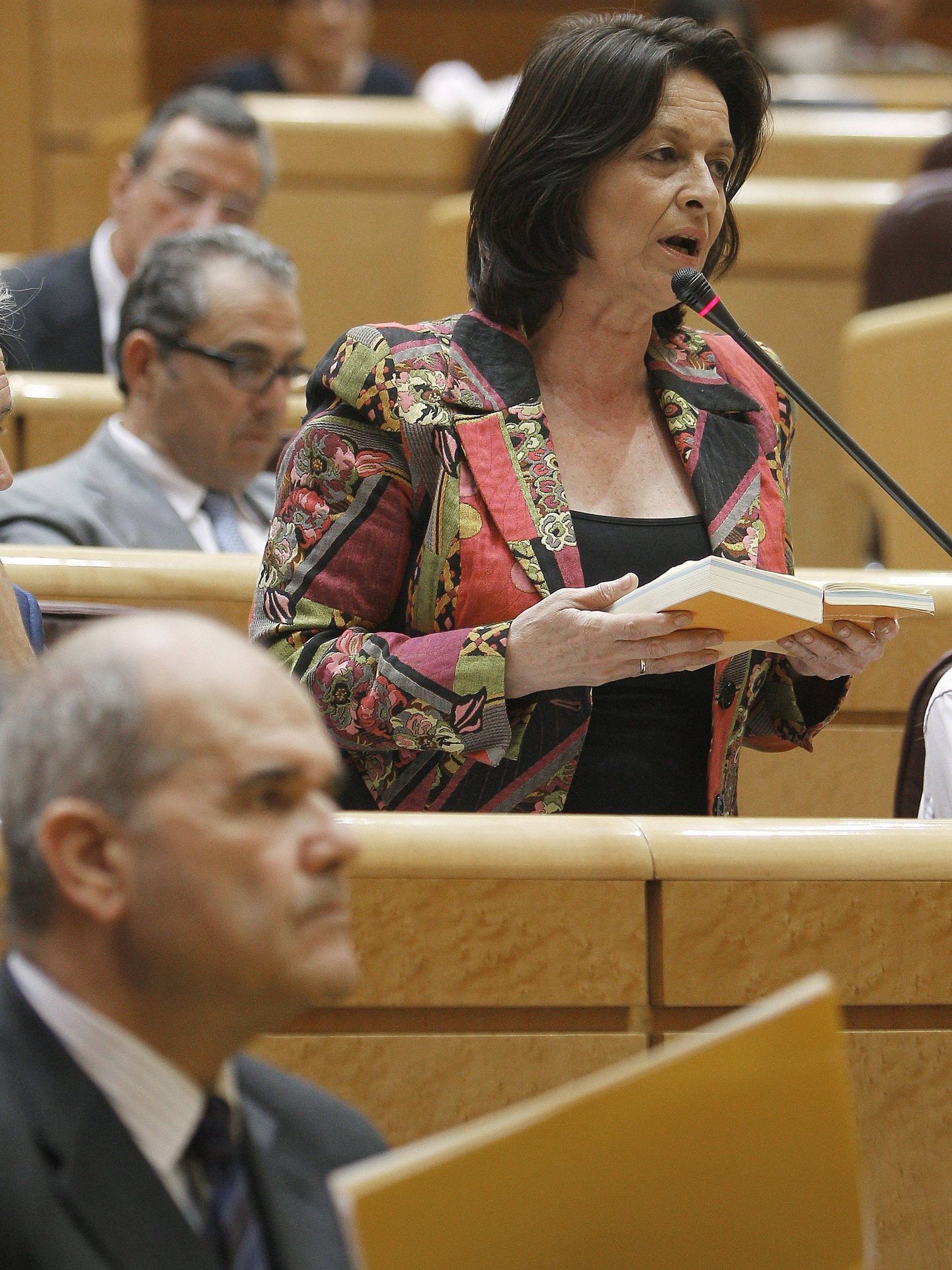 Ruth Porta en un pleno del Senado (EFE)