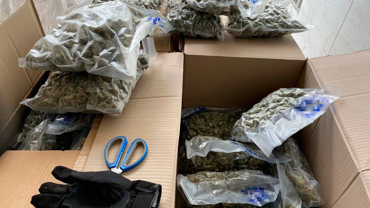 A prisión por transportar en un camión 83 kilos de marihuana en Vilafranca del Penedès