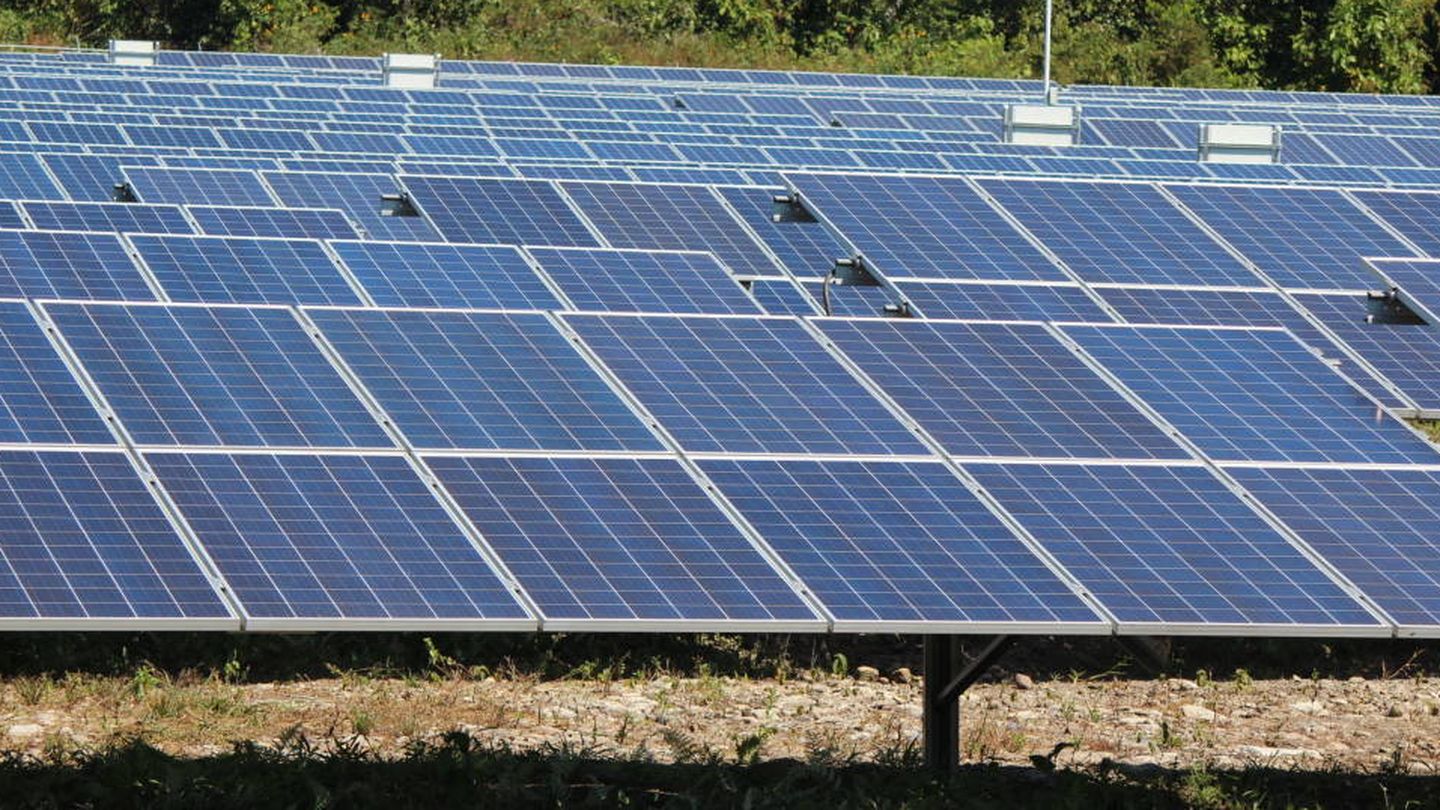 Foto de recurso de un parque solar de energía fotovoltaica. (EFE)