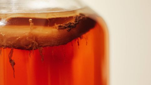 Cinco beneficios del té kombucha demostrados científicamente