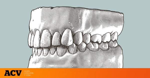 Rechinar los dientes no tiene ninguna lógica: la razón evolutiva por la ...