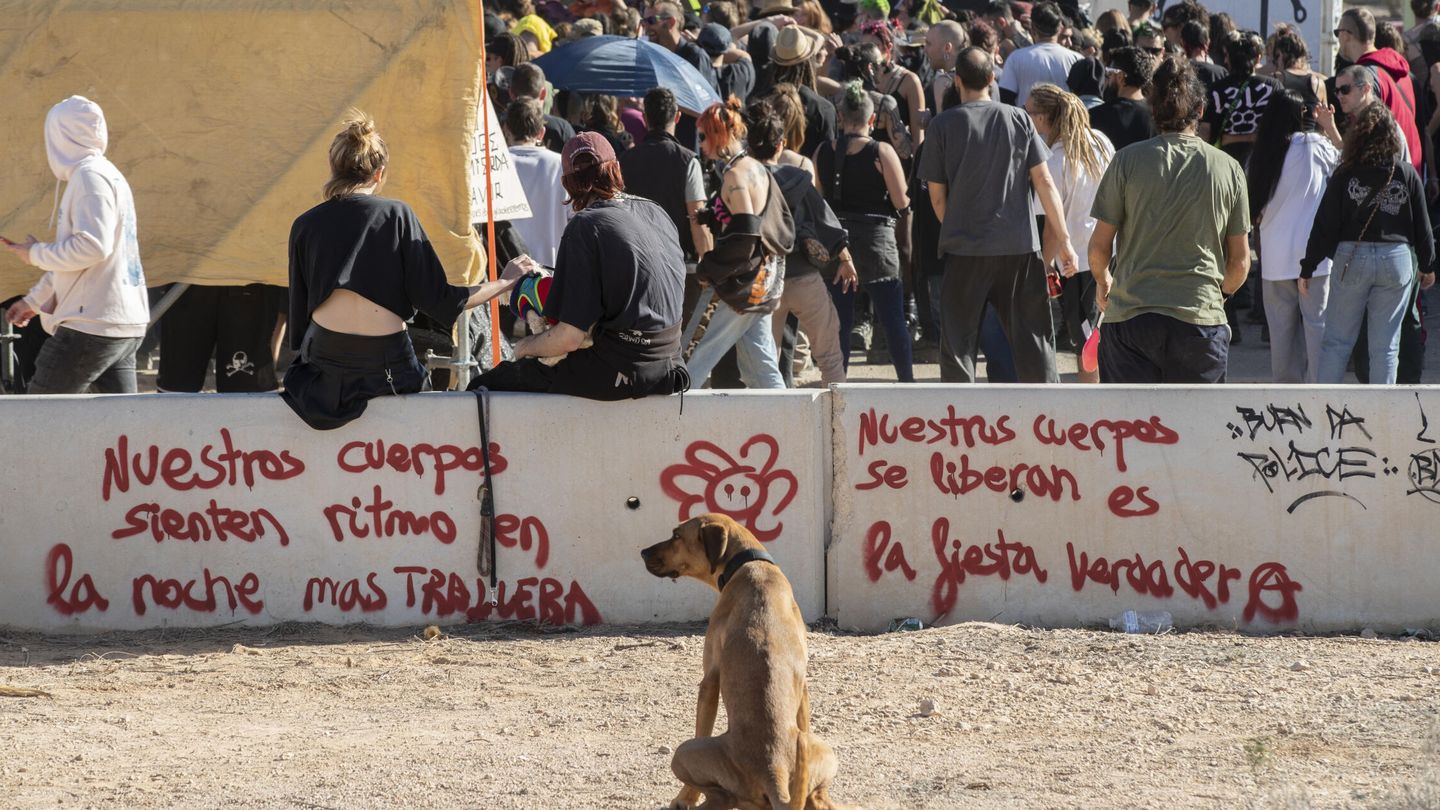 Un perro, en primer plano, mientras decenas de jóvenes se congregan en un escenario de la 'rave'. (EFE/Marcial Guillén)
