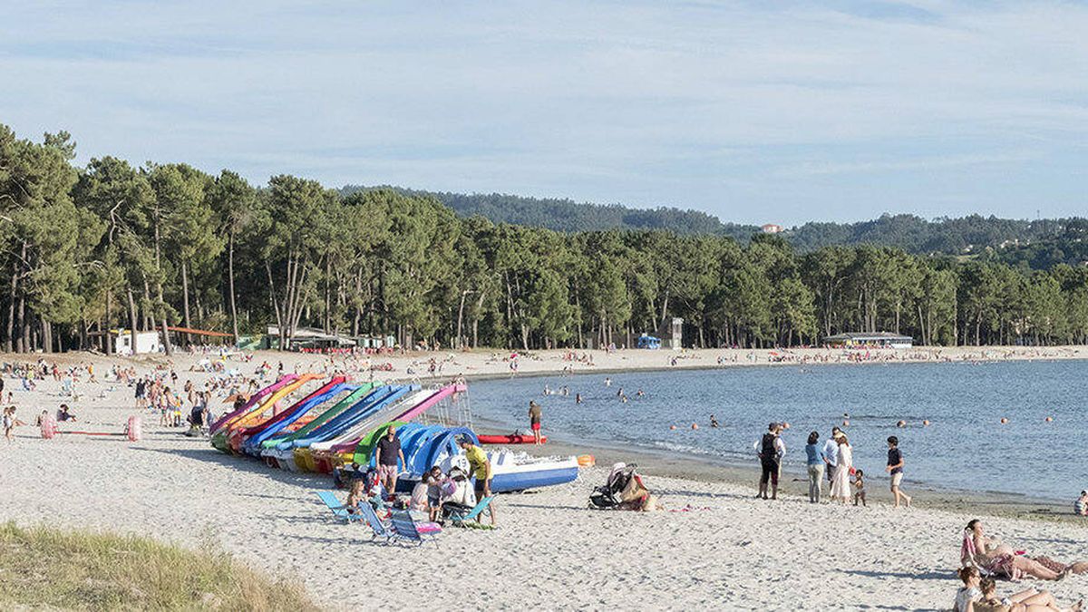 Ni Carnota ni A Lanzada: las playas de Galicia con pinar donde encontrar la mejor sombra