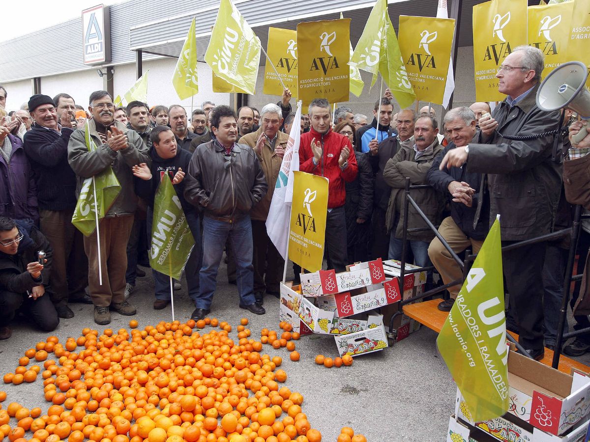 Foto: Protesta de agricultores valencianos por el precio de los cítricos. (EFE/Kai Försterling)