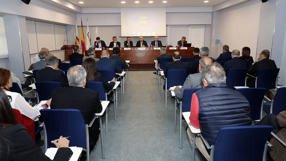 Las federaciones y el Comité Olímpico Español piden cambios en la Ley del Deporte 