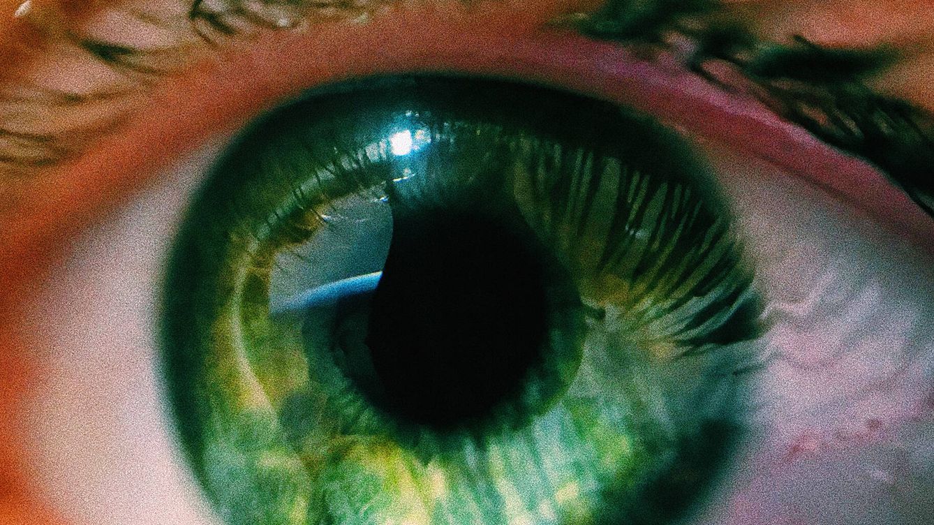 Foto: La nueva IA es capaz de interpretar los reflejos de la pupila y transformarlos en una imagen tridimensional de lo que ve la persona. (Özlem/Pexels).
