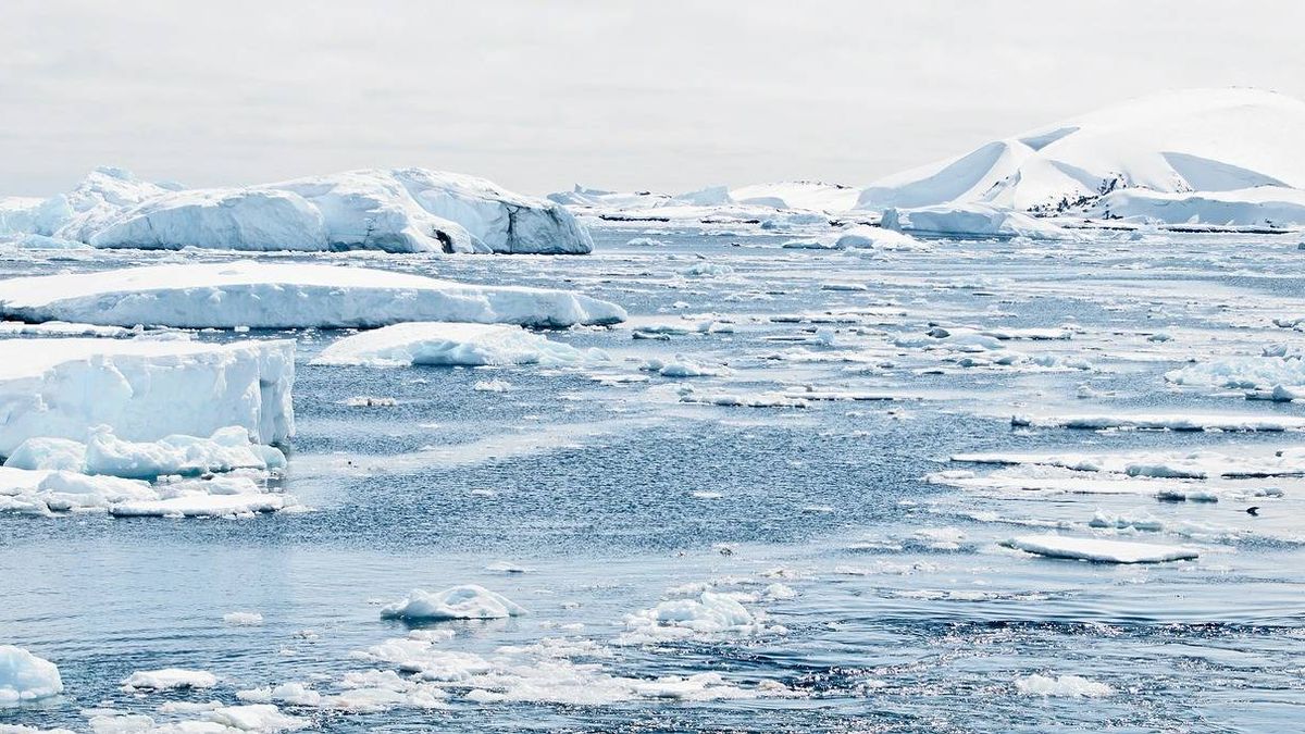 El Ártico nunca será como antes: menos hielo, más cálido y más riesgo de incendios