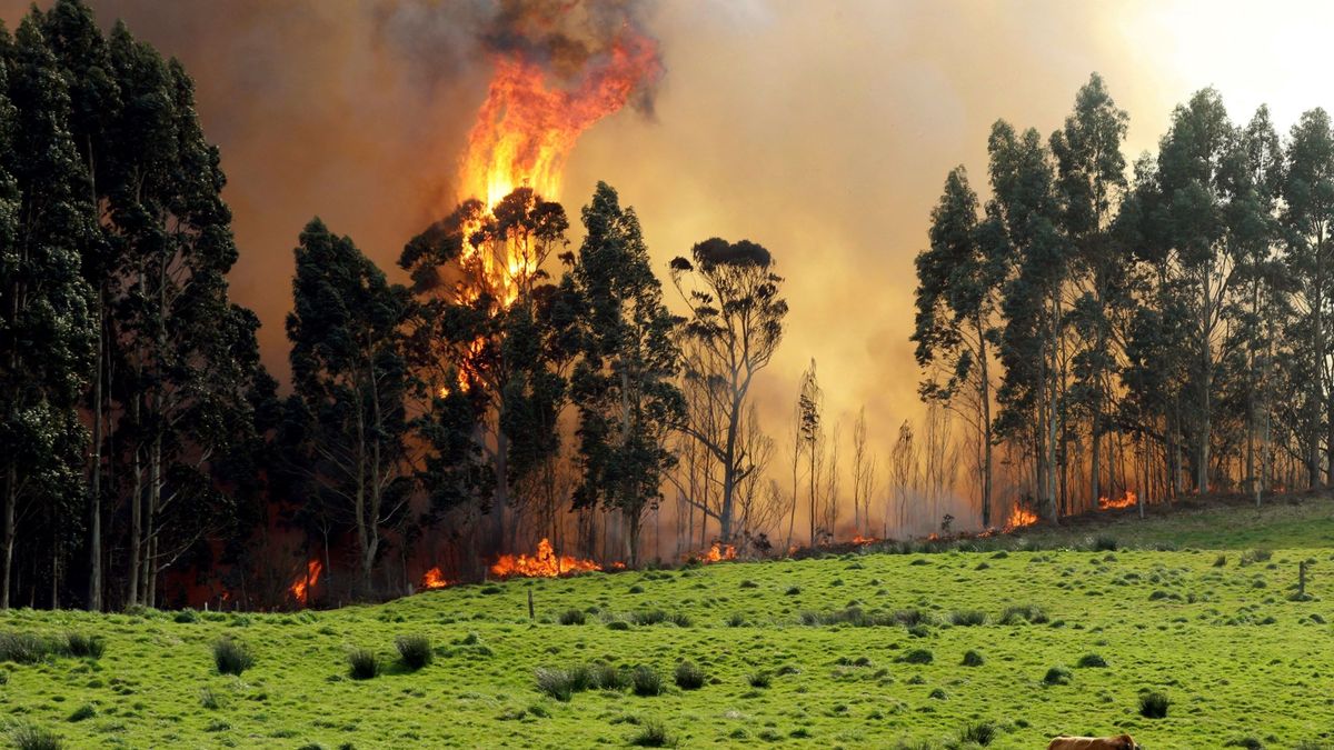 Vientos de 100 km/h complican la extinción de los incendios en Asturias y Cantabria