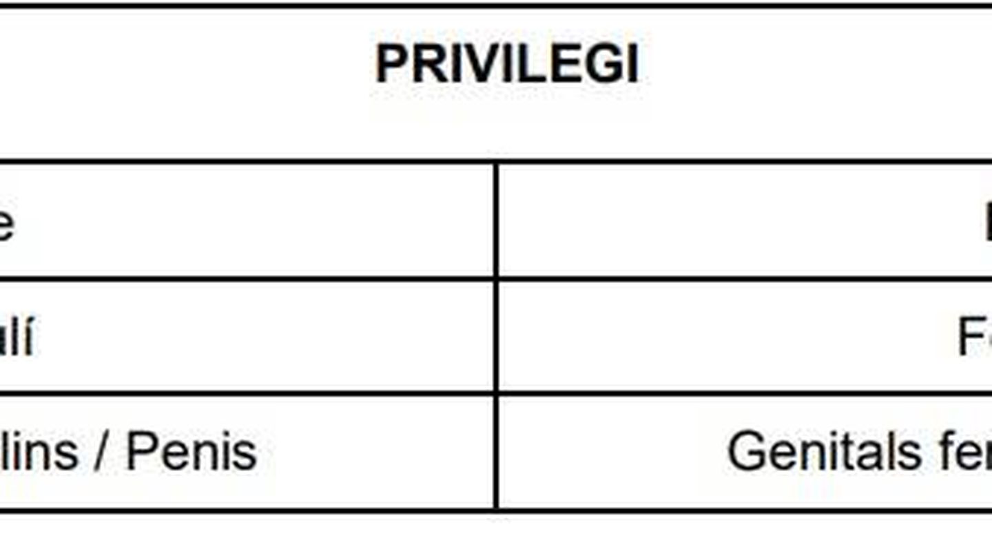 Tabla adjunta en el protocolo de actuación de BioRitme, en la que se especifican los grados de privilegio en la 'sociedad heteropatriarcal'. (BioRitme)