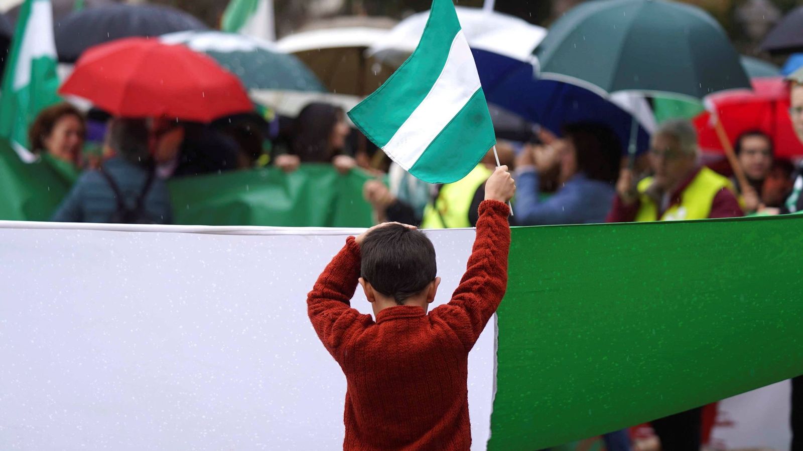 Un niño hace ondear una bandera con los colores de Andalucía en una manifestación celebrada en Córdoba. (EFE/Rafa Alcaide)