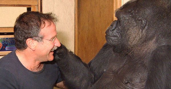 Foto: Koko jugando con Robin Williams